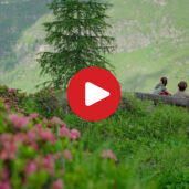 Panoramaweg in Pfelders