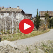 Da Monticolo a Caldaro e Ritorno