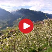 Primavera in Alto Adige