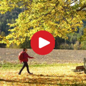 Herbstwanderung in Teis