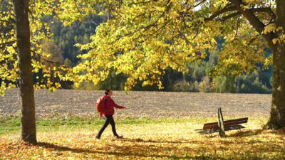 Herbstwanderung in Teis