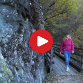 Hiking tip: Brandis Waalweg path in Lana