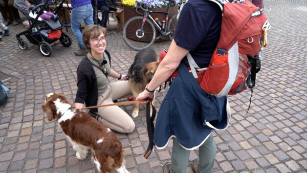 Urlaub mit dem Hund - Aufenthalt