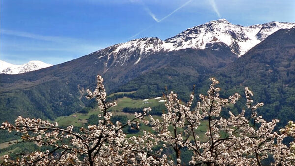 Spring in Venosta Valley