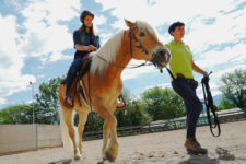 Scuola equestre Priska Kelderer