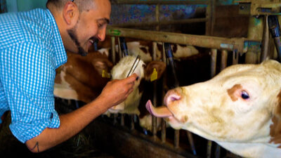 A Farm Day in South Tyrol