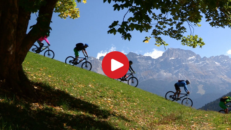 Biking experience in the Val d'Ega
