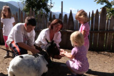 A fun day on a farm for children