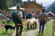 Schafabtrieb im Zieltal