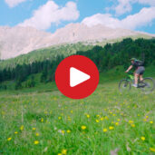 Latemar Ronda mit dem Mountainbike