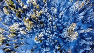 Magia d‘inverno a Trodena