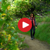 Wandertipp: Wein & Apfelweg Schenna