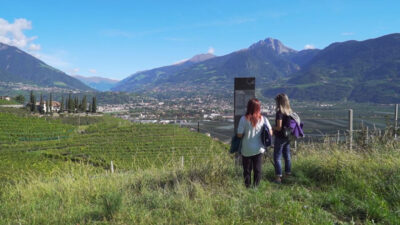 The Viniculture Trail of Marlengo