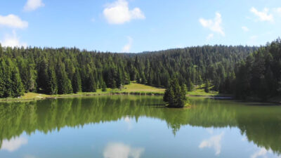 Der Felixer Weiher im Sommer 