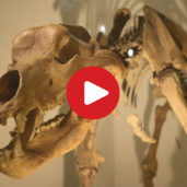 Naturparkhaus Fanes-Sennes-Prags