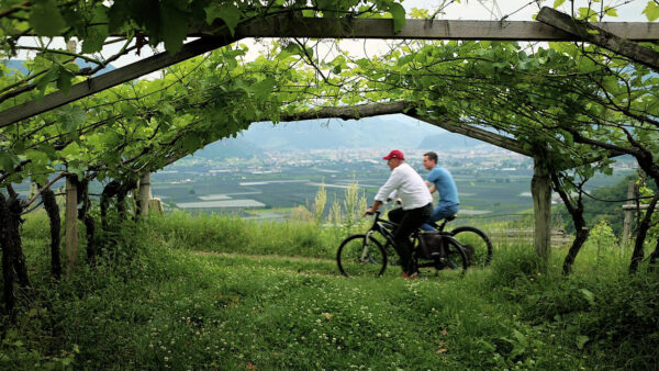 Sankt Pauls Winery
