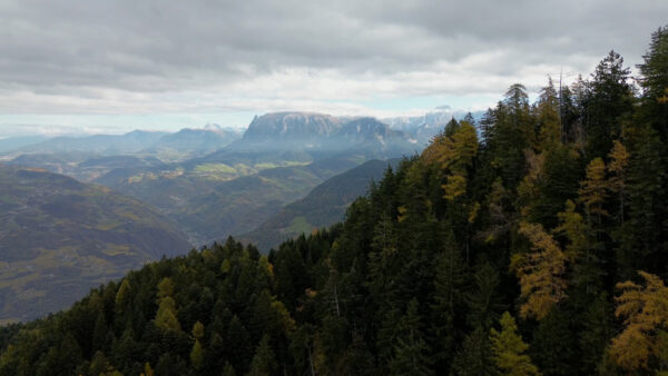 Autumn between La Costa and Colle