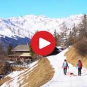 Tobogganing Tip: Malga Prantner