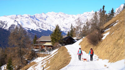 Tobogganing Tip: Malga Prantner