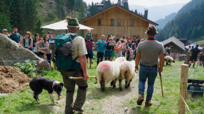 Transumanza al Rifugio Nasereit