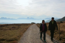 The Alpe di Villandro Pasture