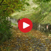 The Chestnut Trail of Villandro