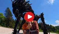 Video: Drago di Vaia: La Rinascita