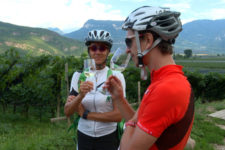Leisure cycling tour in Termeno
