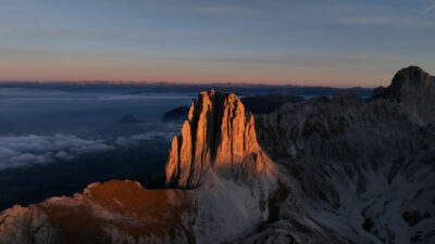 Der Rosengarten in der Morgensonne